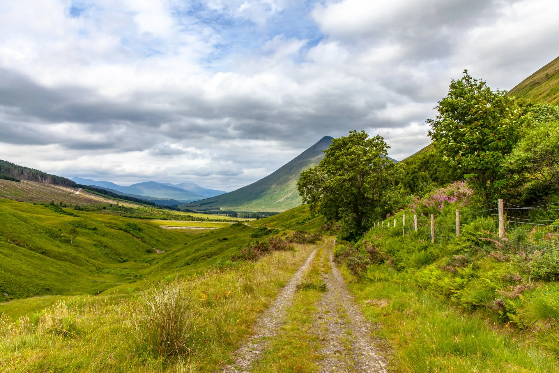 A dirt path winds through a vibrant green valley, flanked by grass and a fence, leading towards a large green mountain and distant blue peaks under a cloudy sky.
